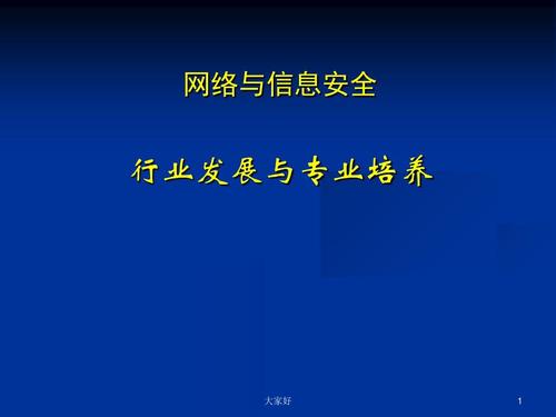 网络与信息安全 从全局认知到软件实践